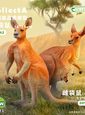 顺丰包邮【88921红袋鼠】CollectA官方授权正版动物模型早教玩具