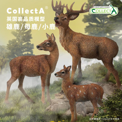 CollectA鹿动物模型玩具