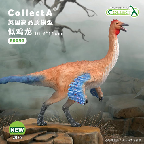 【80039似鸡龙】2025CollectA仿真动物模型玩具公仔