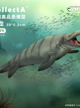 【88975沧龙 】CollectA仿真动物模型玩具古兽公仔科普收藏海爬