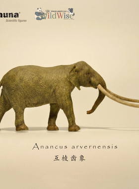 【顺丰包邮】【eofauna互棱齿象】古兽模型玩具玩具西班牙象厂