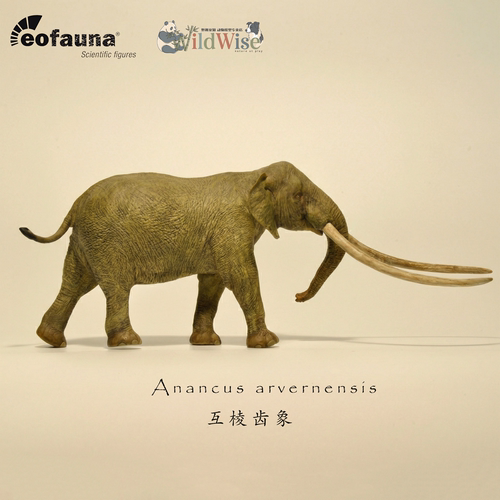 【顺丰包邮】【eofauna互棱齿象】古兽模型玩具玩具西班牙象厂