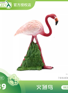 【88207火烈鸟】CollectA官方授权正版动物模型早教玩具