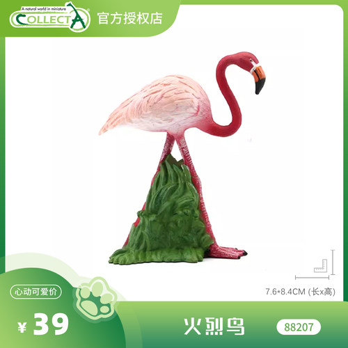 【88207火烈鸟】CollectA官方授权正版动物模型早教玩具