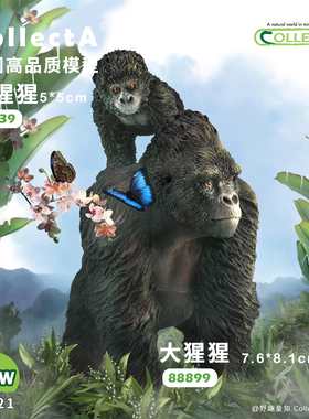 顺丰包邮【88899大猩猩】CollectA官方授权正版动物模型早教玩具