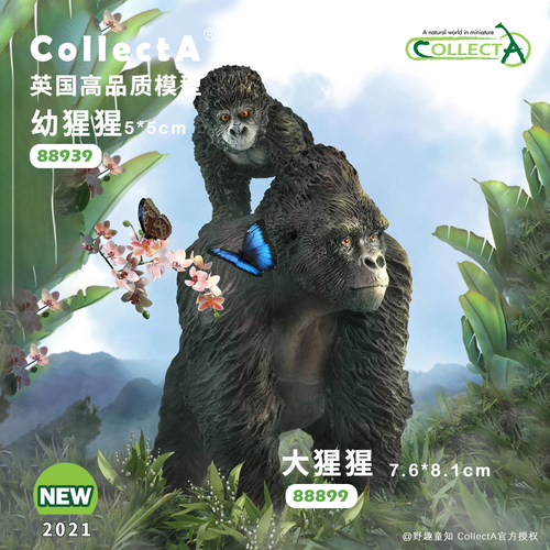 CollectA大猩猩动物模型玩具