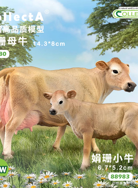 【娟珊母牛/娟珊小牛】CollectA官方授权正版动物模型早教玩具