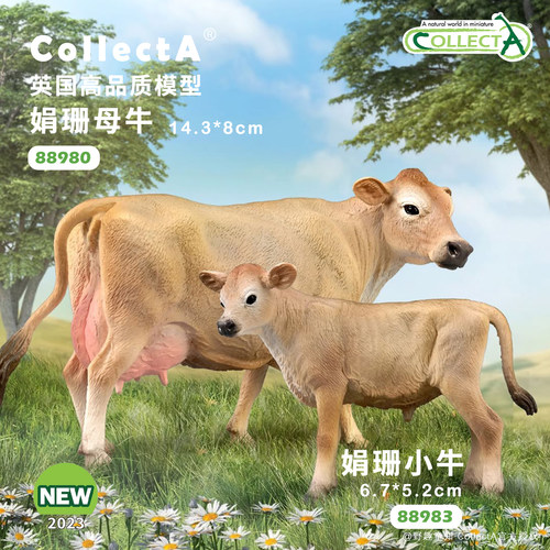 CollectA娟珊牛动物模型玩具