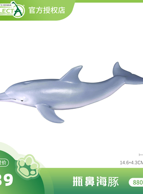 【瓶鼻海豚/幼瓶鼻海豚】CollectA官方授权正版动物模型早教玩具