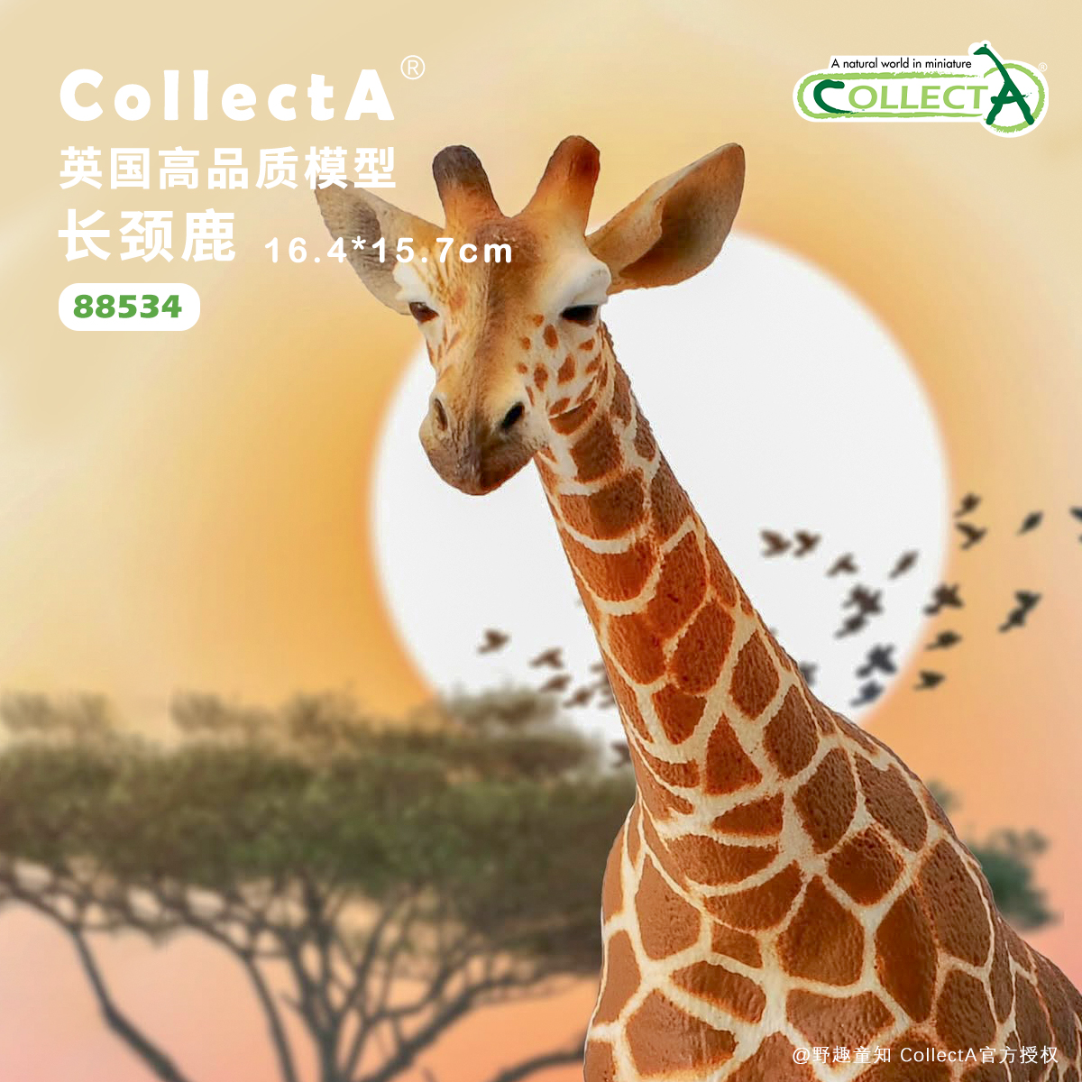 CollectA长颈鹿动物模型玩具