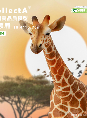 顺丰包邮【网纹长颈鹿】CollectA我你他官方授权正版动物模型玩具