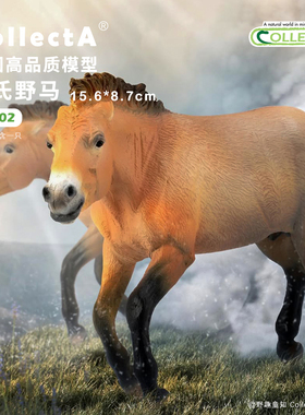 【88602普氏野马】CollectA官方授权正版动物模型早教玩具