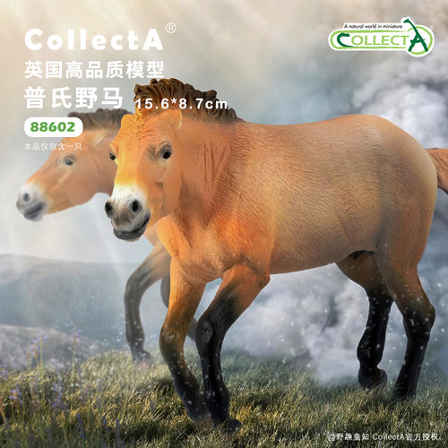 CollectA普氏野马动物模型玩具