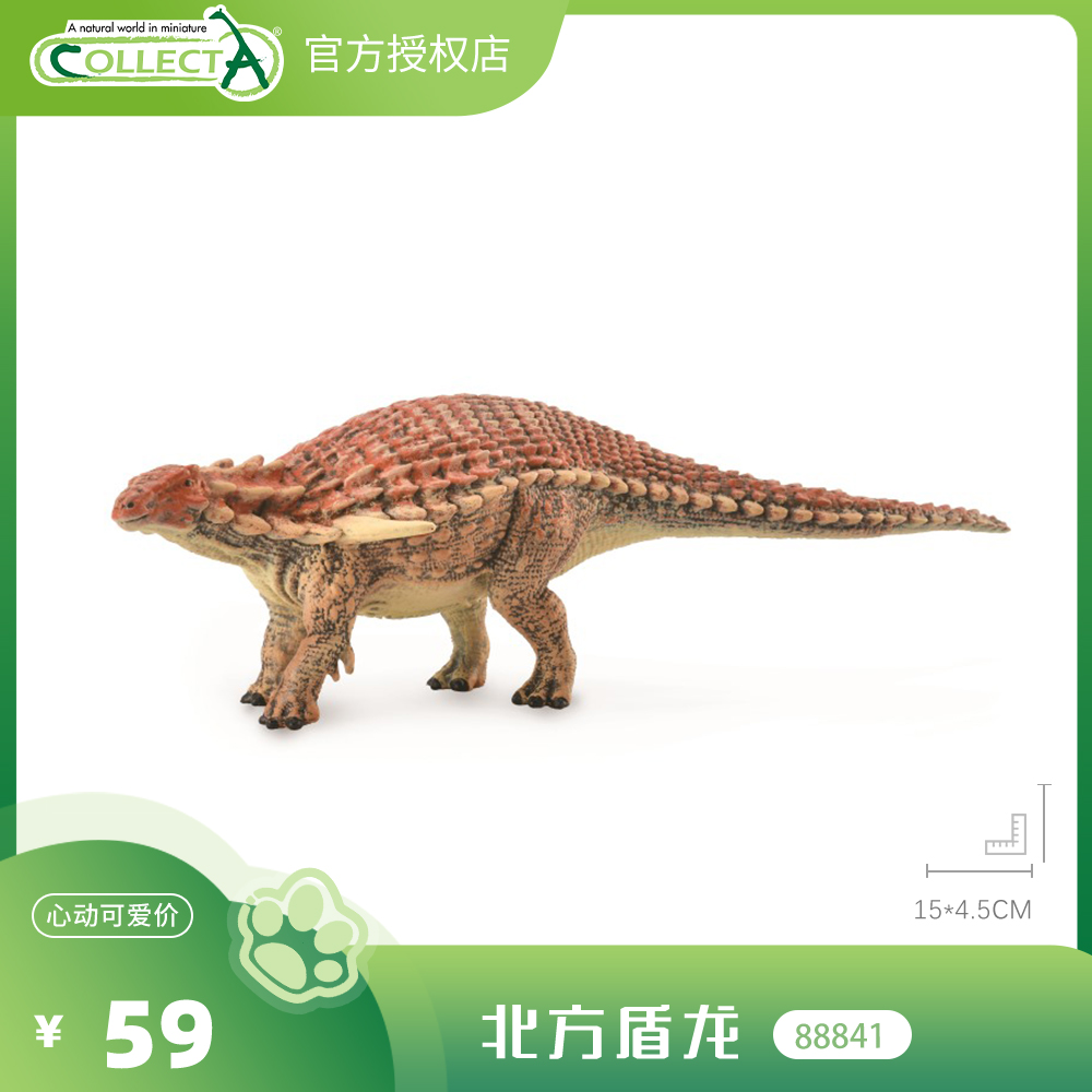 【88841北方盾龙】CollectA动物模型儿童仿真玩具早教礼物宝宝