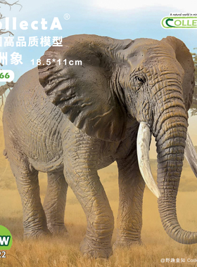 顺丰包邮【88966非洲象】CollectA我你他动物模型玩具儿童认知