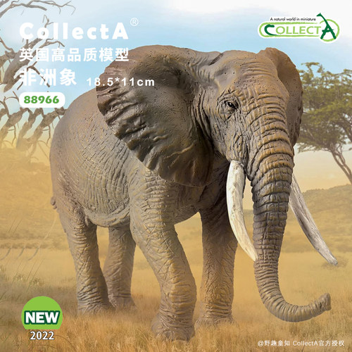 CollectA非洲象动物模型玩具