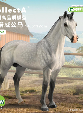 【88957汉诺威公马 -斑点灰色】CollectA官方授权正版动物模型
