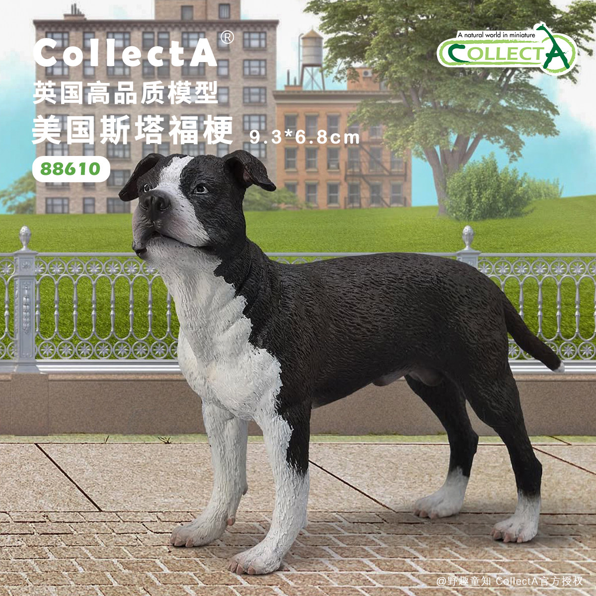 【88610美国斯塔福梗】CollectA官方授权正版动物模型早教玩具,玩具/童车/益智/积木/模型,仿真/动物玩偶,淘宝优惠券,粉丝福利购,淘宝优惠卷