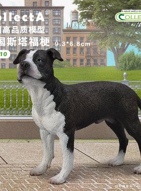 【88610美国斯塔福梗】CollectA官方授权正版动物模型早教玩具