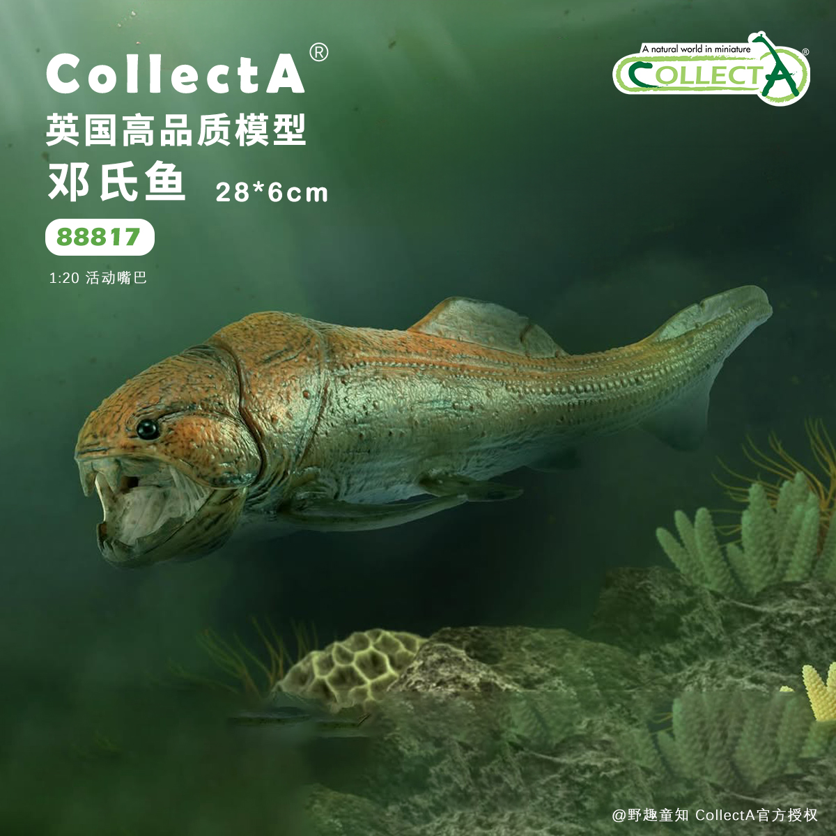 【88817邓氏鱼】CollectA仿真动物模型玩具古兽公仔科普收藏海爬
