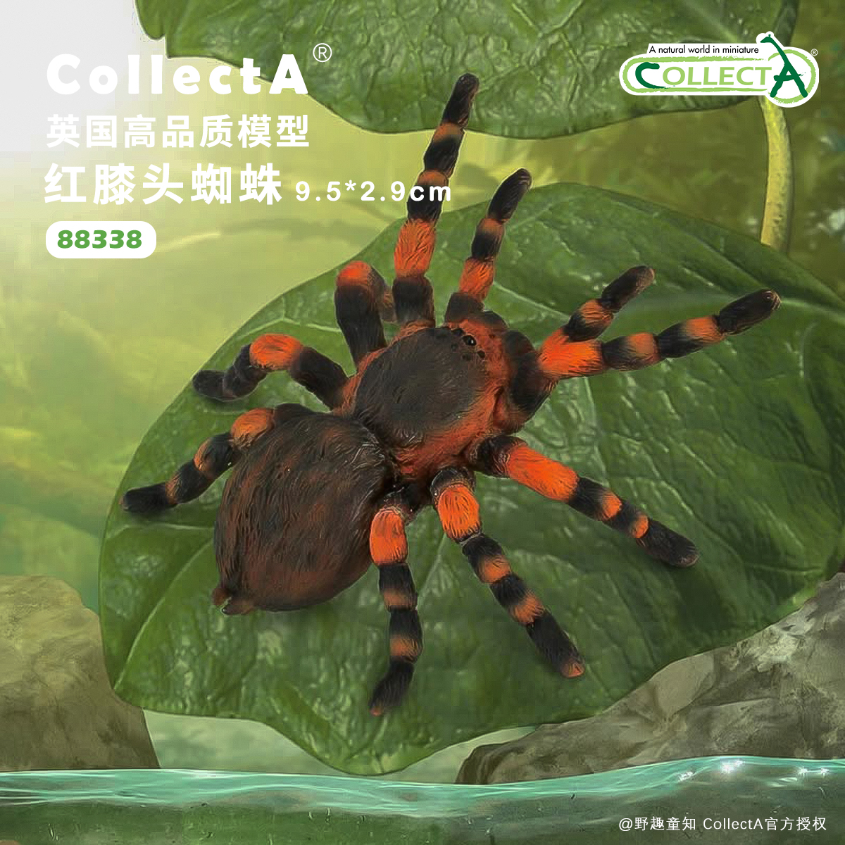 CollectA蜘蛛动物模型玩具