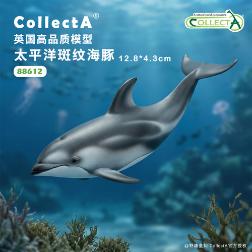 【88612太平洋斑纹海豚】CollectA官方授权正版动物模型早教玩具