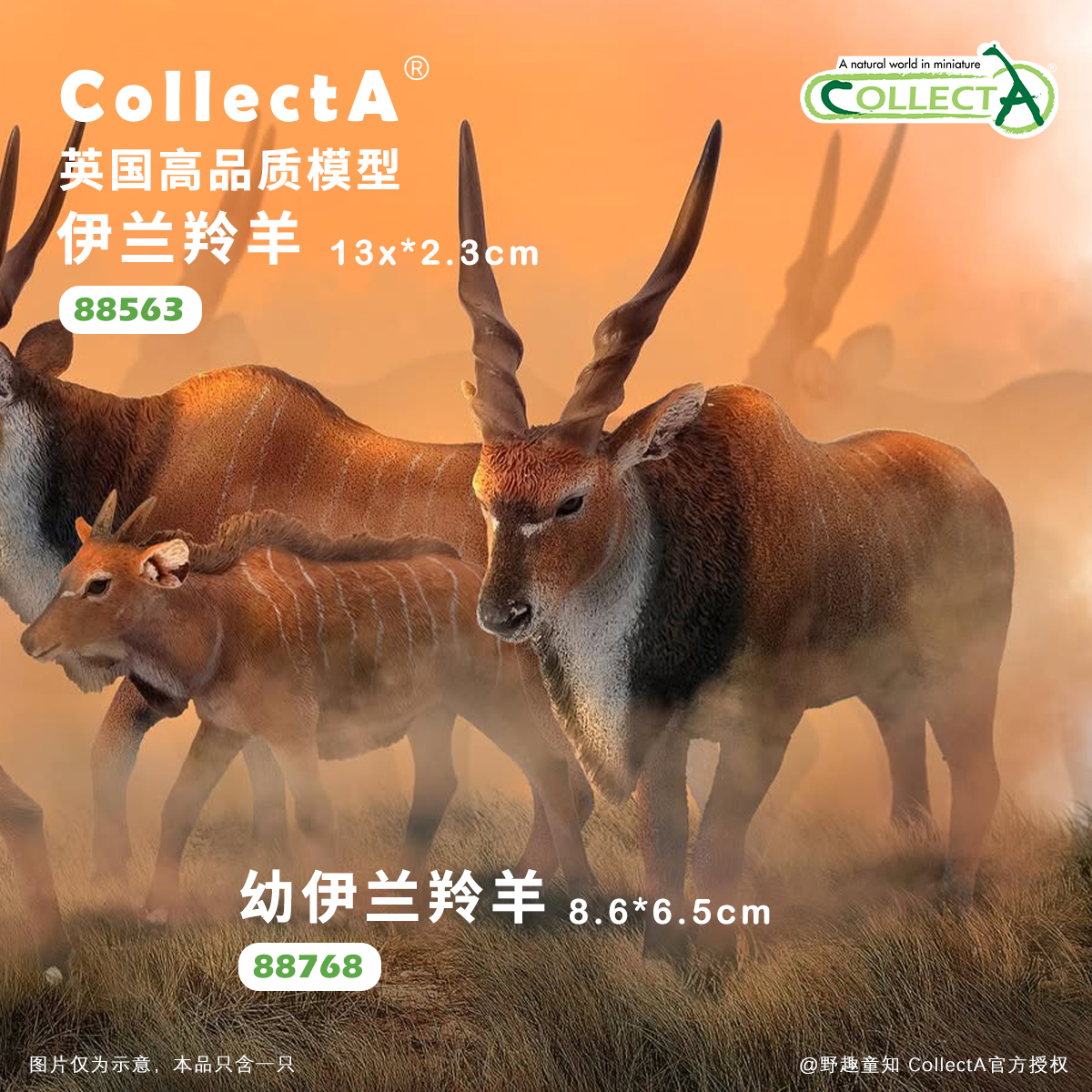 CollectA大伊兰羚羊动物模型玩具