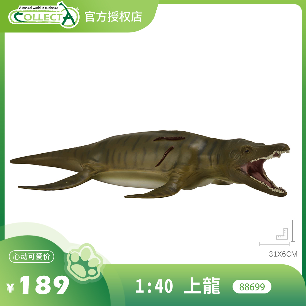 【88699上龙1:40】CollectA仿真动物模型玩具古兽公仔科普海爬
