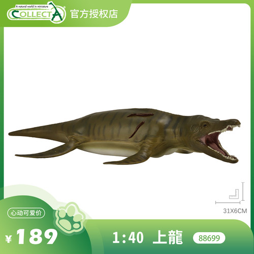 【88699上龙1:40】CollectA仿真动物模型玩具古兽公仔科普海爬