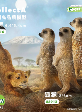 【88913狐獴/猫鼬】CollectA官方授权正版动物模型早教玩具