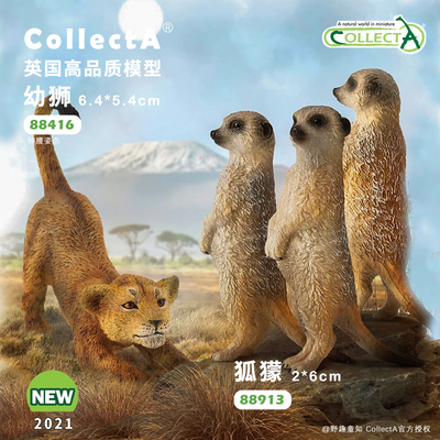 CollectA狐獴/猫鼬动物模型玩具