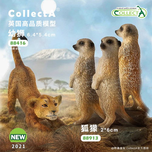 CollectA狐獴/猫鼬动物模型玩具
