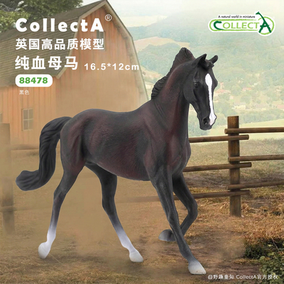 【88478纯血母马黑色 】英国CollectA正品动物模型马年礼物手办