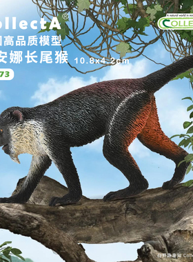 【88673戴安娜长尾猴】CollectA官方授权正版动物模型早教玩具