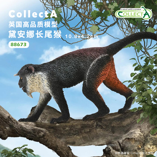 【88673戴安娜长尾猴】CollectA官方授权正版动物模型早教玩具