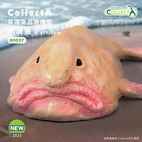 CollectA水滴鱼动物模型