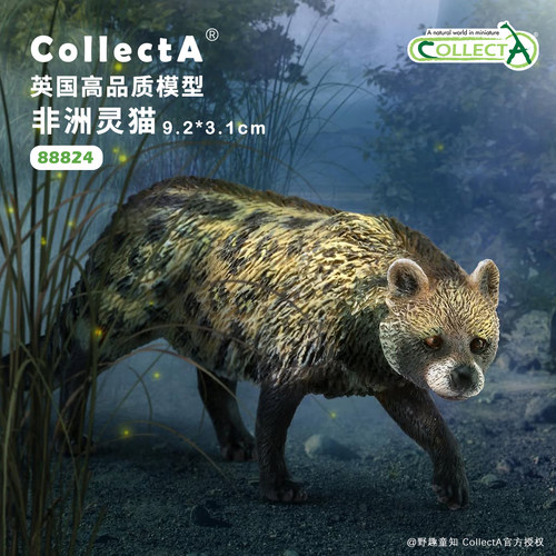 CollectA非洲灵猫动物模型玩具