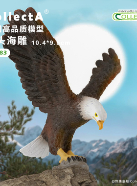 【88383白头海雕】CollectA官方授权正版动物模型早教玩具