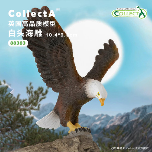 【88383白头海雕】CollectA官方授权正版动物模型早教玩具