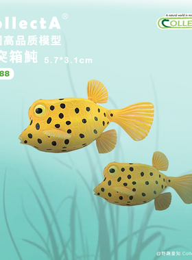 【88788粒突箱鲀】CollectA官方授权正版动物模型早教玩具