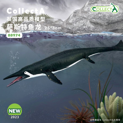 【88974萨斯特鱼龙】CollectA动物模型儿童认知仿真玩具早教