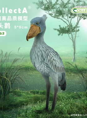 【88763鲸头鹳】CollectA官方授权正版动物模型早教玩具
