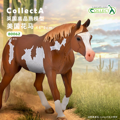 【顺丰包邮】80062美国花马 -白斑栗色COLLECTA我你他骏马模型