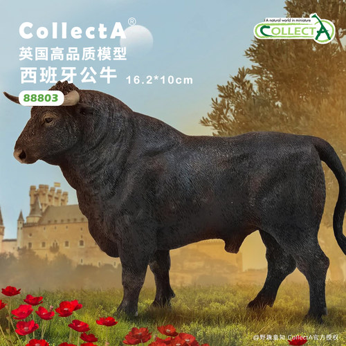 CollectA西班牙公牛动物模型玩具