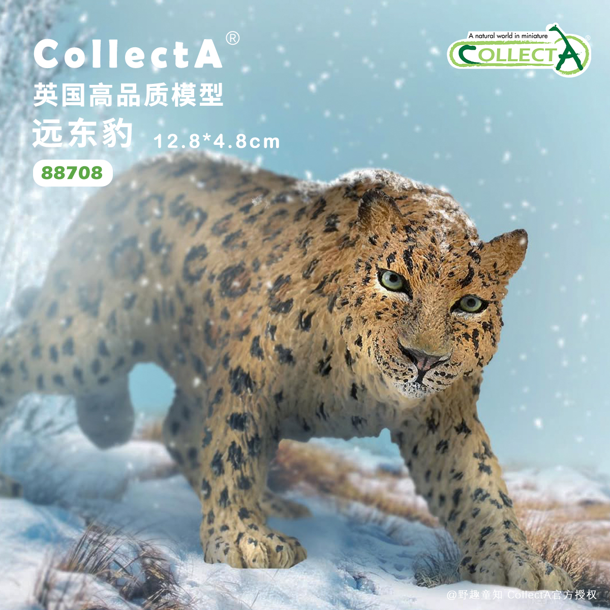 CollectA远东豹动物模型玩具