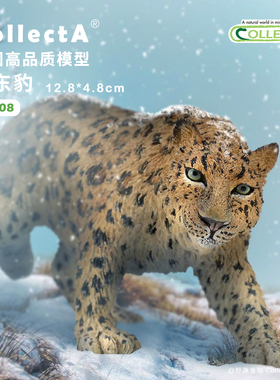 【88708远东豹】CollectA官方授权正版动物模型早教玩具