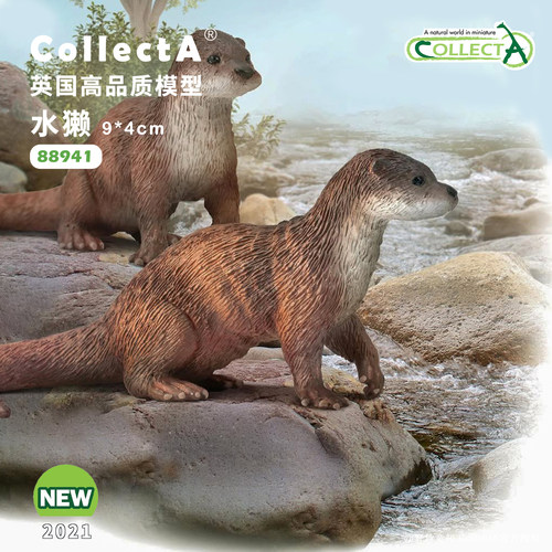 【88941水獭】CollectA我你他官方授权正版动物模型早教