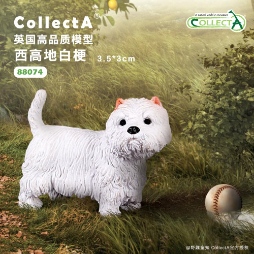 【88074西部高地白梗】CollectA仿真动物模型玩具2025狗狗玩具