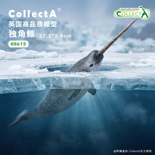 【88615独角鲸】CollectA官方授权正版动物模型早教玩具海洋鲸鱼