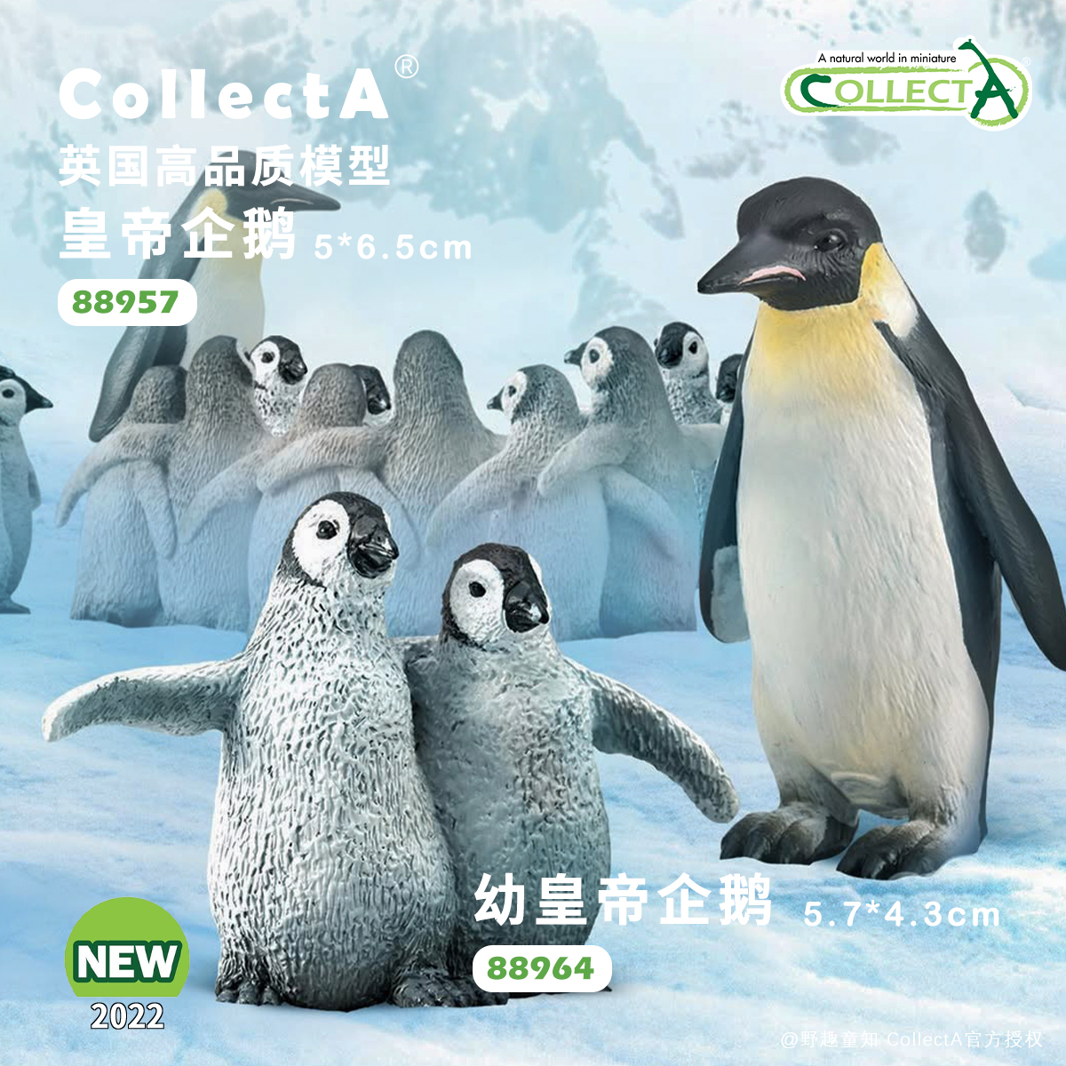 CollectA帝企鹅动物模型玩具